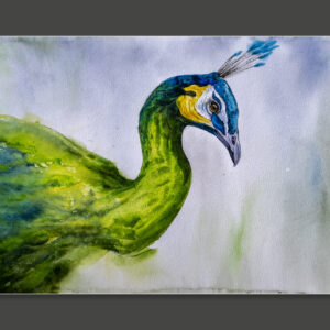 There will be peacocks _ 7